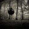 Andy Pearsall